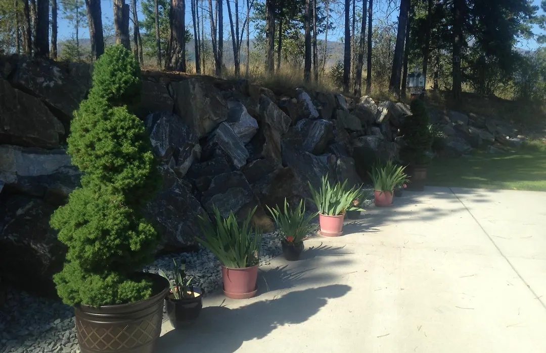 Eagle'S Nest B&B-1